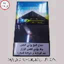 14.webp